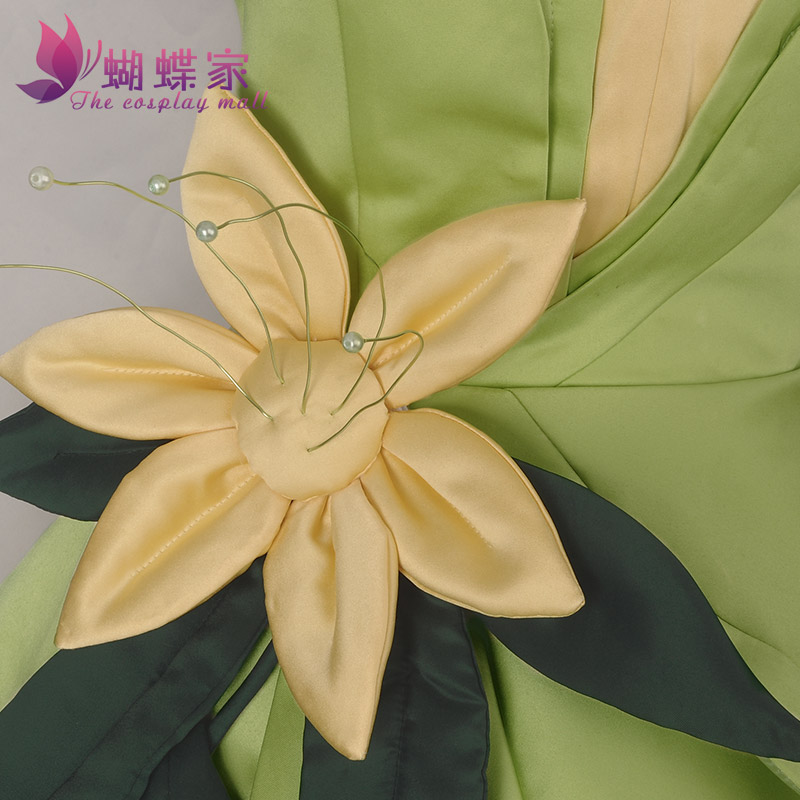 Prinses Tiana Jurk Cosplay Kos - Men Accessories For Party recensie en prijs