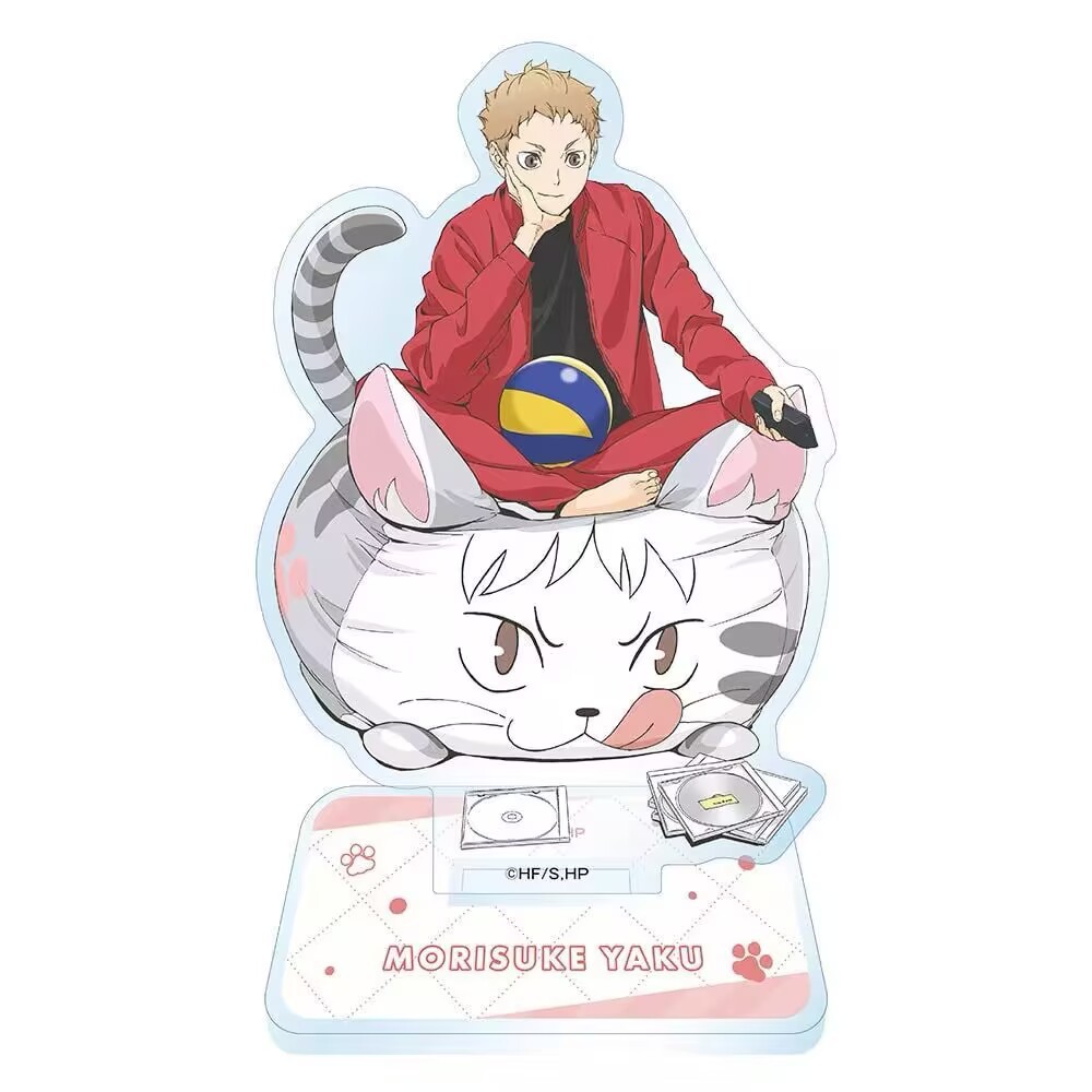 Volleybal Jongens Animatie Acr - Men'S Volleyball Accessories recensie en prijs